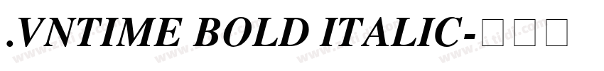 .VnTime Bold Italic字体转换